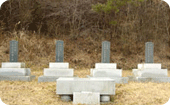 지내리지석묘