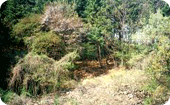 운화리 성지